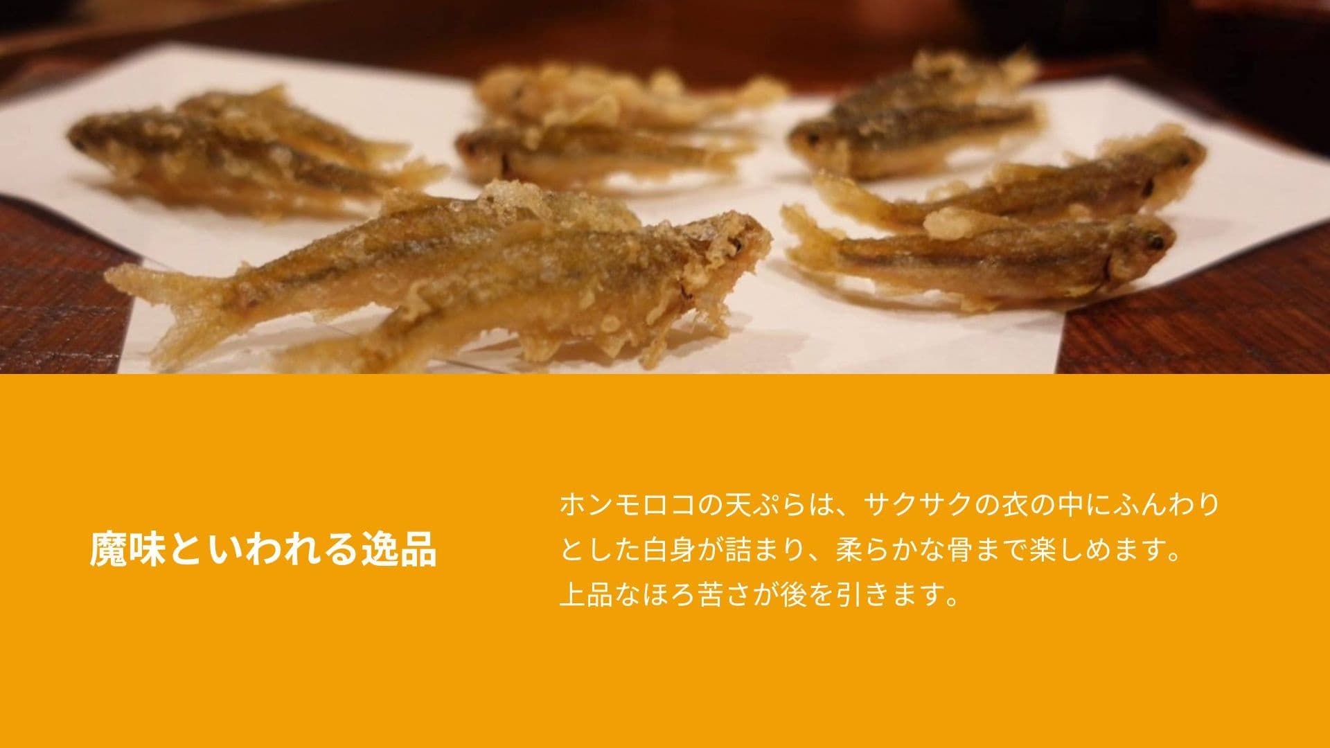 ホンモロコの天ぷら料理の写真。香ばしく揚がった小魚が白い紙の上に並び、衣はサクサク、中はふんわりとした白身が詰まっています。柔らかな骨ごと味わえる上品な苦みと旨味が特徴で、「魔味」と呼ばれるほどの逸品を表しています。