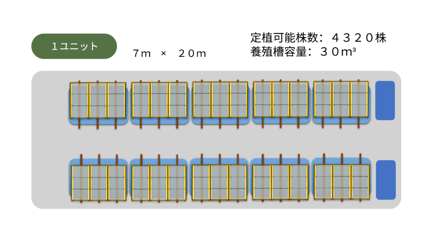 アクアポニックス実用ユニット(7m×20m)の上面図。中央に栽培ベッドが並び、両端に魚槽を配置した高効率循環システム。