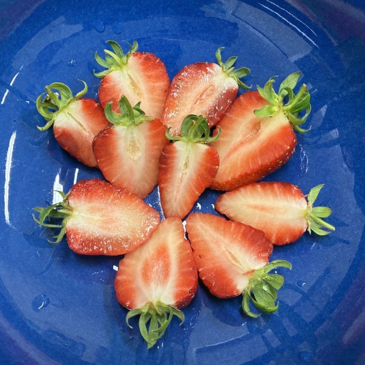 隙間スペースを生かした栽培方法の検討です。