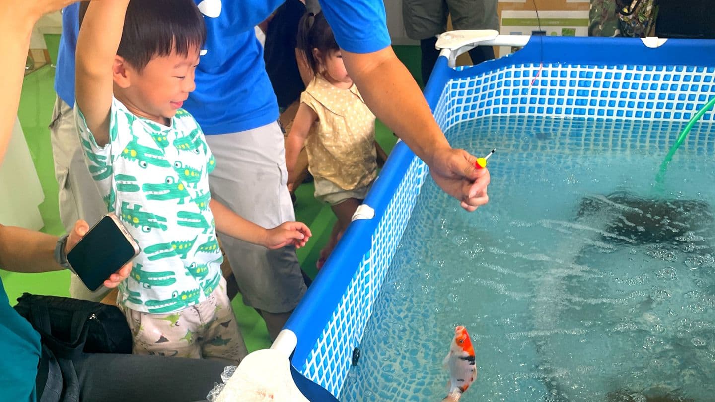 子どもたちがアクアポニックス農園で魚に餌をやり、野菜を収穫している様子。食と学びをつなぐ地域体験のイメージ。