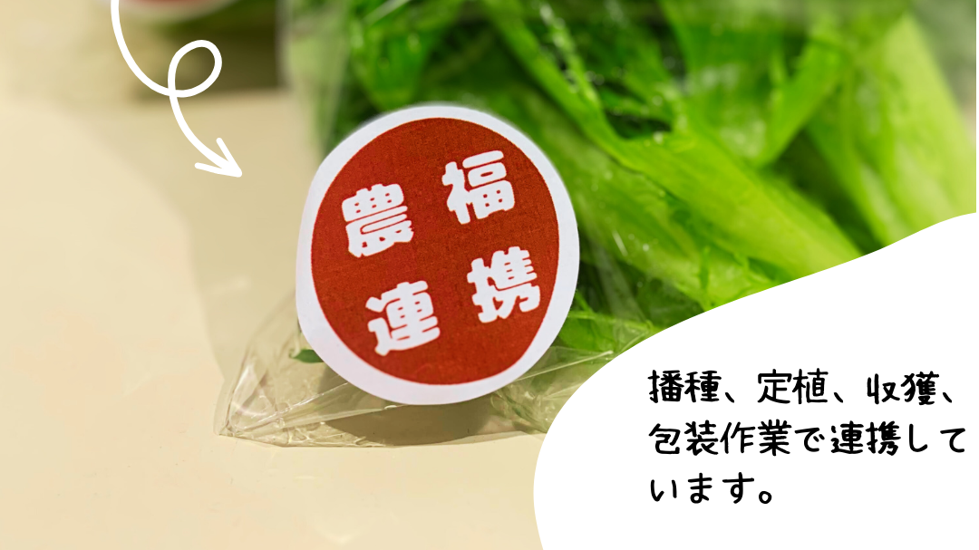 魚・微生物・植物が水を循環させ、清浄な養液を作り出す様子の図。自然の力で水を耕す技術を表現したイラスト。