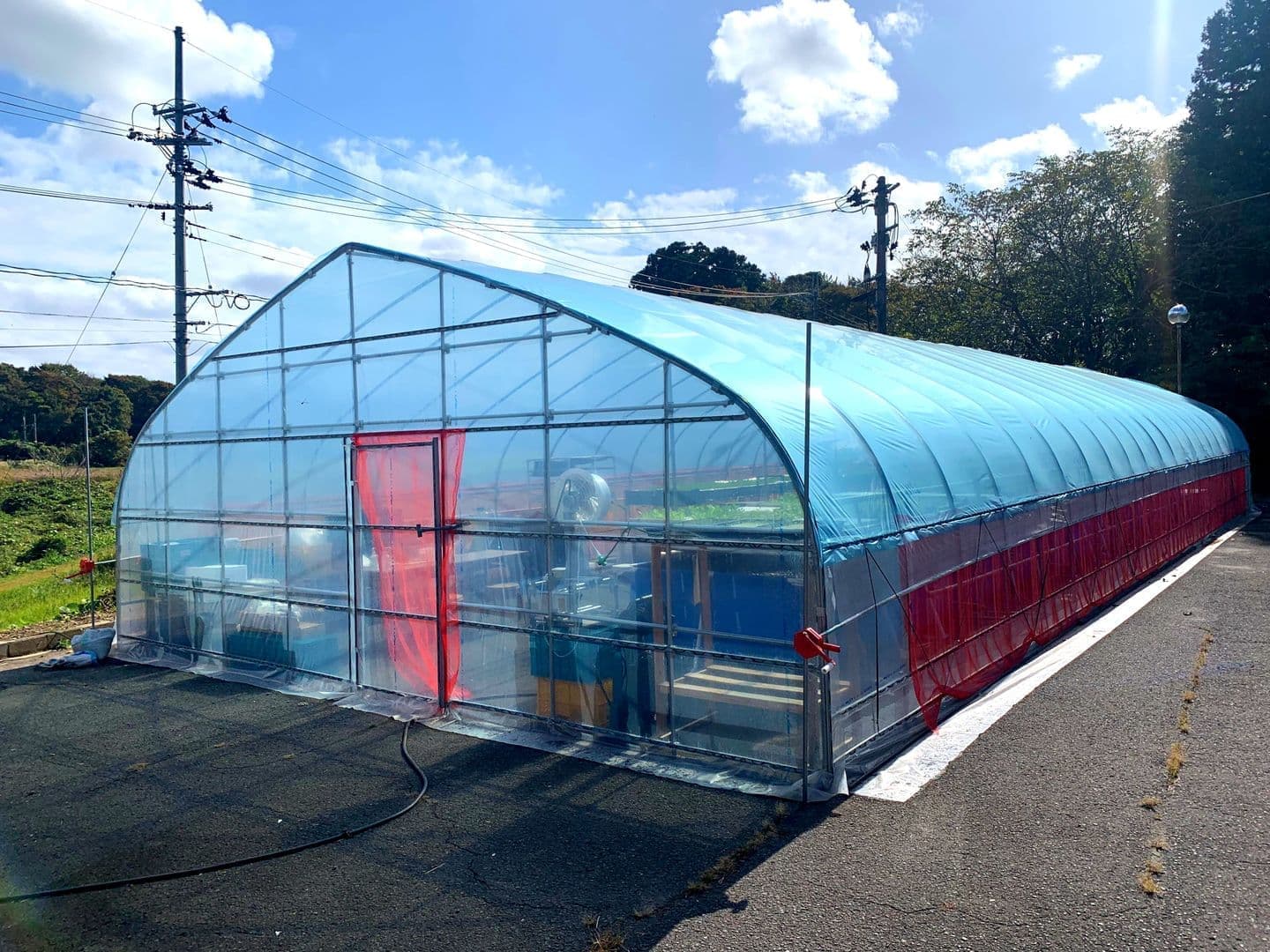 アクアポニックスのプロ仕様システムの写真