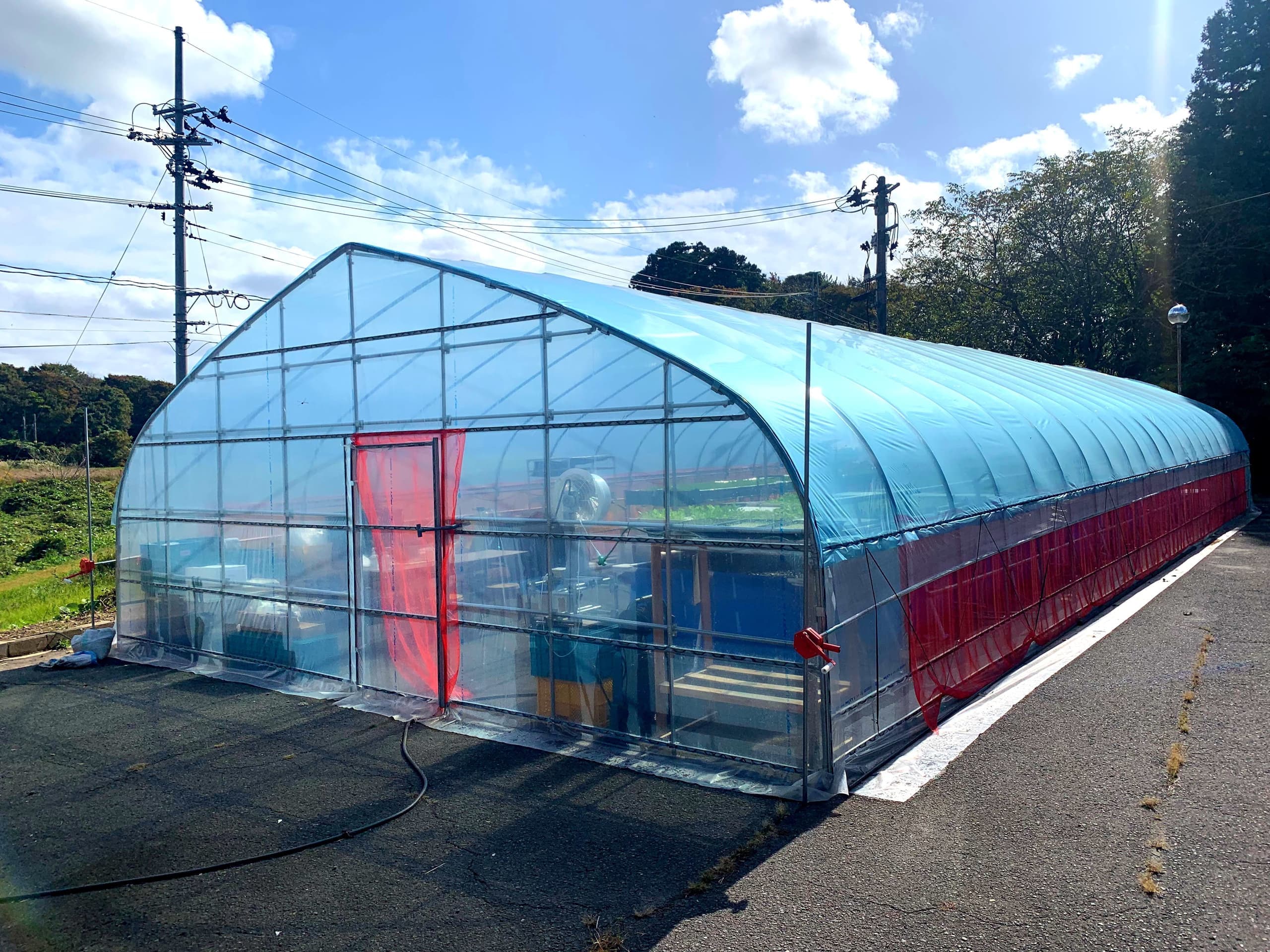 アクアポニックスに用いているビニールハウスの外観。