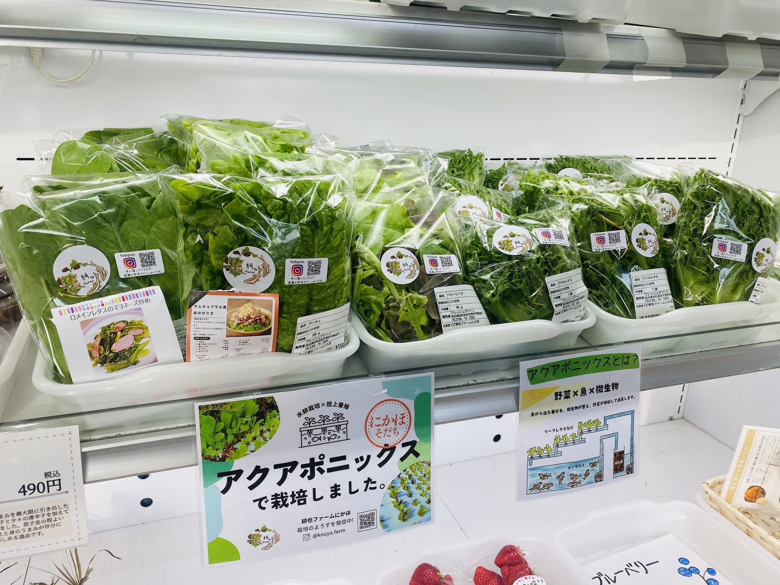 アクアポニックスで栽培した野菜を産直に出荷した様子。