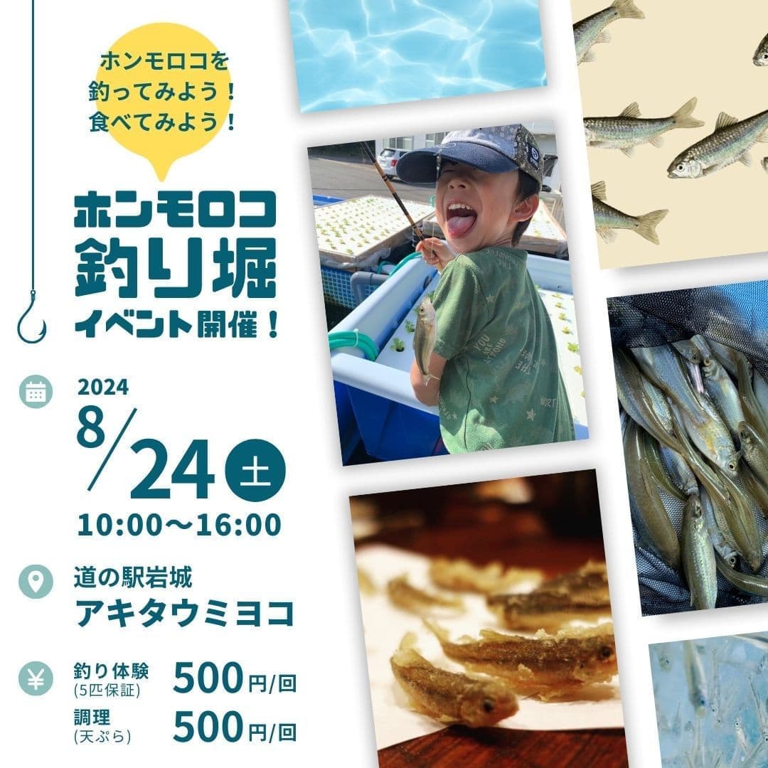 アクアポニックスで養殖したホンモロコを使った釣り堀の告知チラシ。