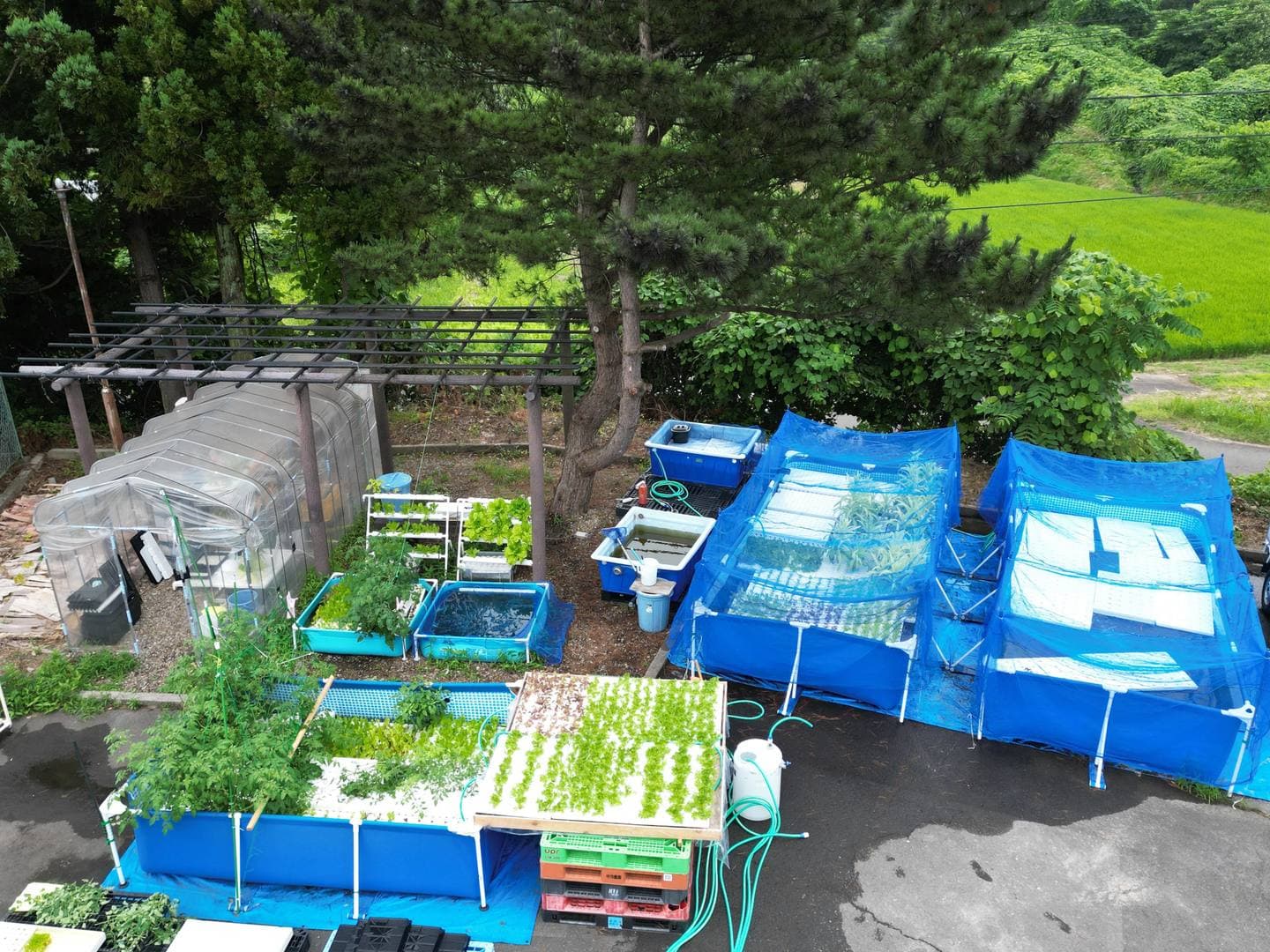 アクアポニックスシステムの開発初期段階の俯瞰写真